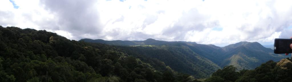 Blick über den Dorrigo Nationalpark